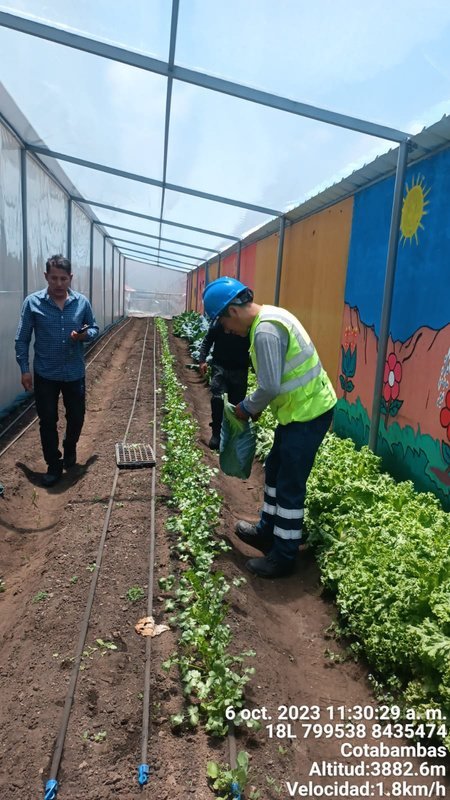 Interior del fitotoldo escolar con cultivos